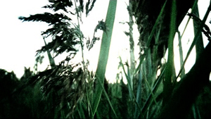 lucy silva nothing else matters